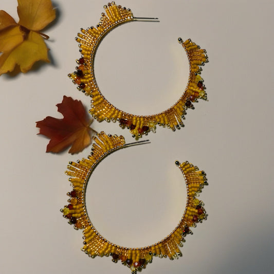 Janitzia’s Hoops